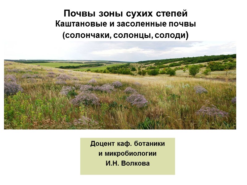 Доцент каф. ботаники  и микробиологии И.Н. Волкова Почвы зоны сухих степей Каштановые и